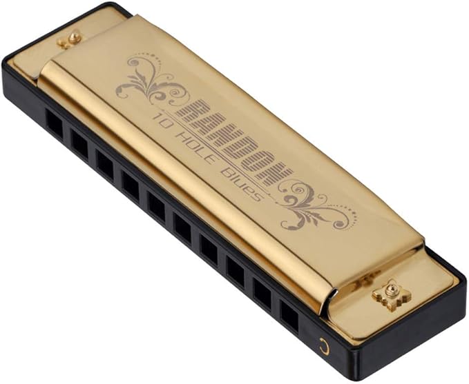 Randon Gold Harmonica Key of C, 10 Holes Diatonic Harmonicas for Adults/Kids/Beginners, Blues Harmonica as Gift, with Case, Clean Cloth and Manual