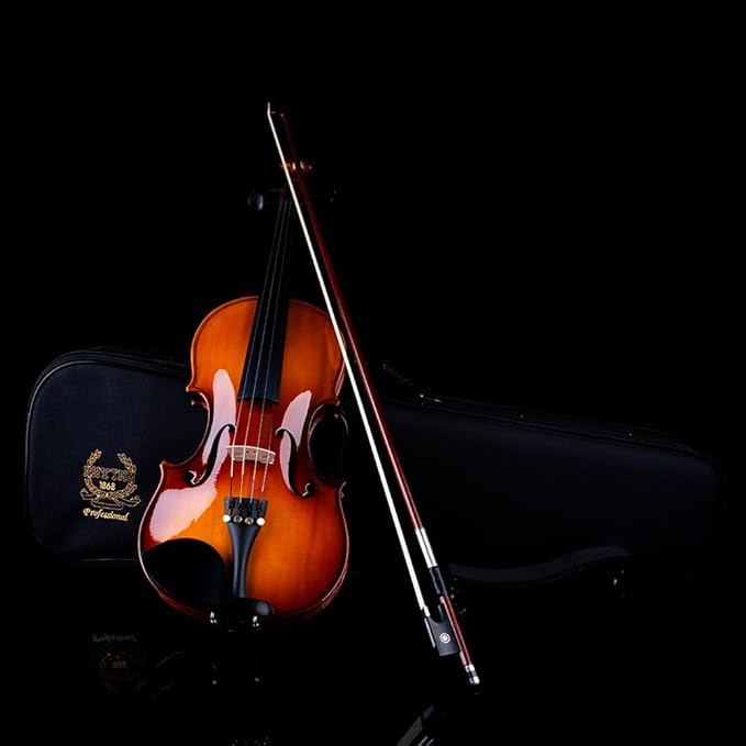 Rhythm Violin Set for Beginners,Acoustic Violins Starter Kit Package for Student,Beginners Fiddle with Hard Case, Rosin, Shoulder Rest, Bow, and Extra Strings (NATURAL, Full)