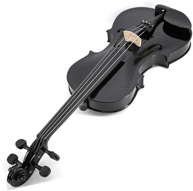 SKY Full Size VN202 Wood Black Violin with Brazilwood Bow and Lightweight Case