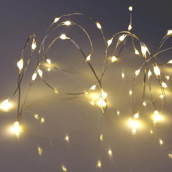 QBIS Warm White Fairy Lights Battery Operated With Timer Mode, 40 Micro LED for Mason Jars, 6.5ft Silver Wire Indoor Use