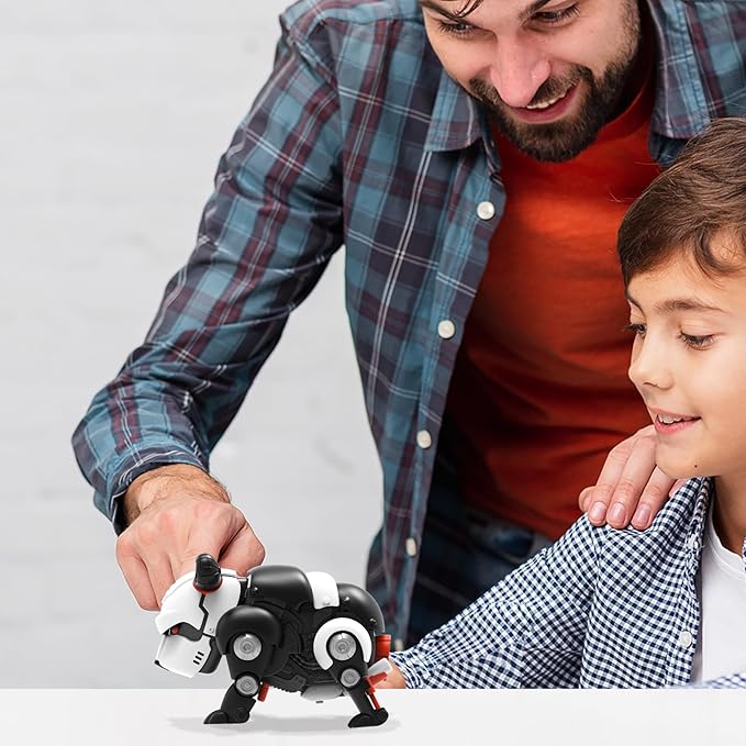 DINOBROS STEM Panda Mechanical DIY Building Blocks Toy 3D Puzzle Assembling Robot Wind Up Walking Pandabot Take Apart Toys for Kids X-MECH