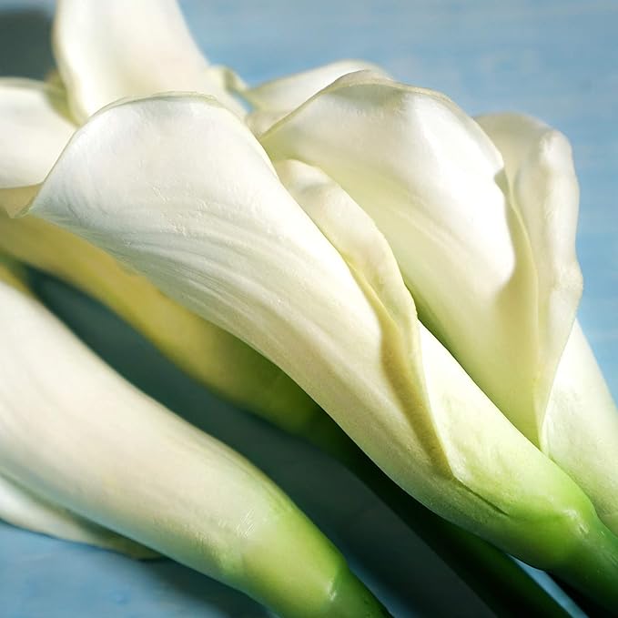 FiveSeasonStuff Real Touch Calla Lily Artificial Flowers, Wedding Bridal Floral Arrangements (25'' 6 Long Stems, Spring White)