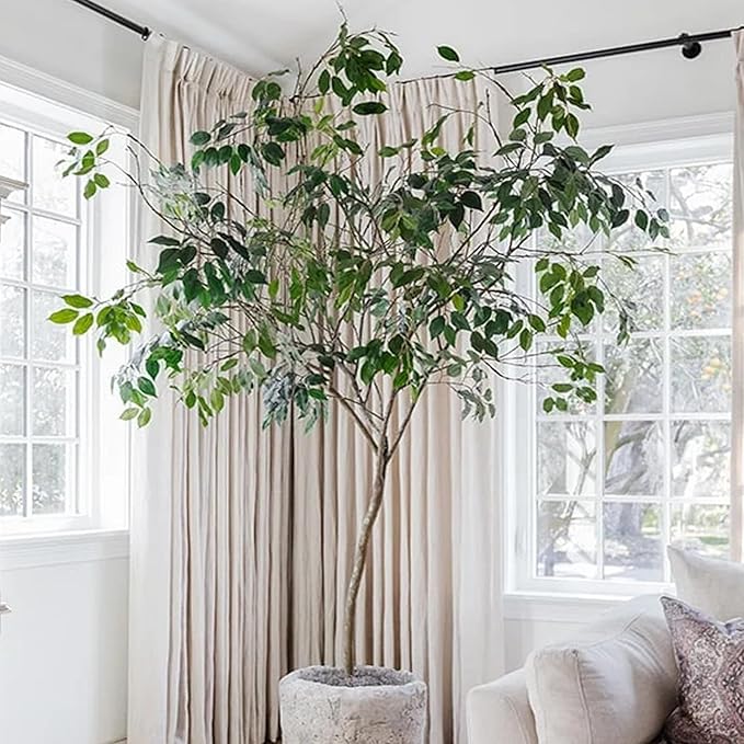 GTIDEA 24PCS Artificial Ficus Leaves Branches Faux Ficus Tree Branches Artificial Greenery Silk Floral Arrangement for Benjamina Tree DIY Wedding Bouquet Summer Wreath Wall Decor (24.04 Inch)