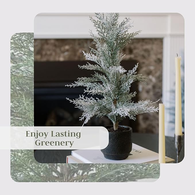 CG Hunter Holiday Collection, Set-of-2 Faux Flocked Cedar Trees, Premium Artificial Indoor & Outdoor Cedar Tree Stands 24" Tall in Pot–Perfect Christmas Decoration