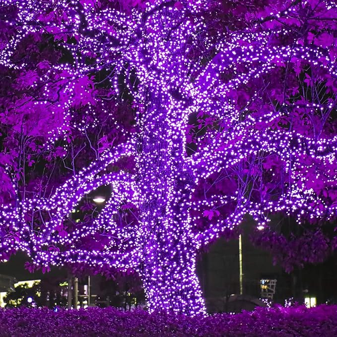 Wintergreen Lighting 70 Piece 5mm LED Purple Lights, 24' String Lights for Holiday Decorations, Indoor-Outdoor Use, UL & Energy Star Certified