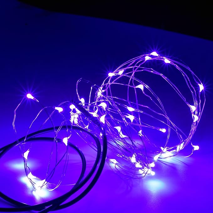 Karlling USB Plug in LED Fairy Lights,50 LED Bulbs 16 Ft Silver Wire Starry String Lights for Bedroom Patio Garden Party Wedding Commercial Lighting (Purple)