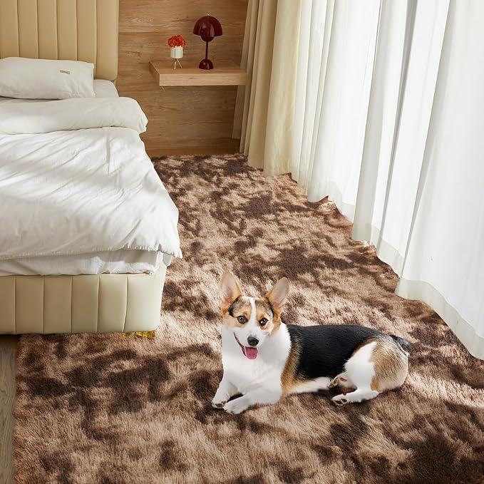 Ultra Soft Rug for Living Room, 5X8 Fluffy Shag Area Rug for Bedroom, Modern Shaggy Carpet Fuzzy Rug for Teens Dorm Nursery Home Decor Aesthetic, Upgrade Anti-Skid Durable, Tie-Dyed Coffee