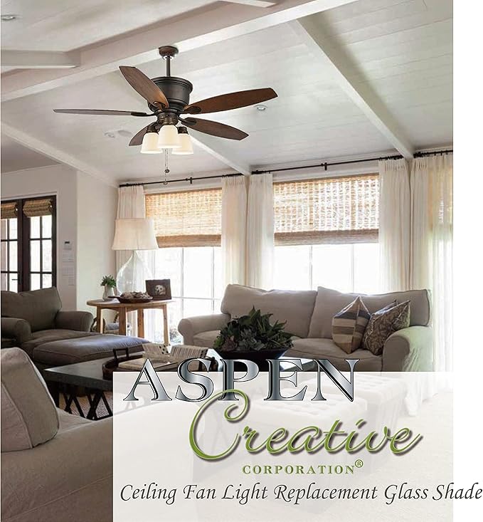 Aspen Creative 23158-4 Transitional Clear & Seeded Ceiling Fan Replacement Glass Shade, 2-1/8" Fitter, 4-1/2" Diameter x 4-7/8" Height, 4 Pack