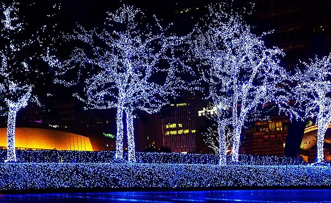 612 Vermont 50 Blue Christmas Lights on a White Wire String, UL Approved, Indoor and Outdoor Use, 9 Foot of Lighted Length, 11 Foot of Total Length