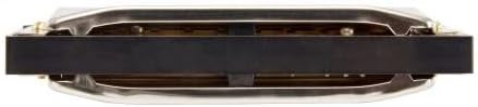 Hohner Special 20 Harmonica - Key of G Bundle with Carrying Case, Key Stickers, Online Manual, and Austin Bazaar Polishing Cloth