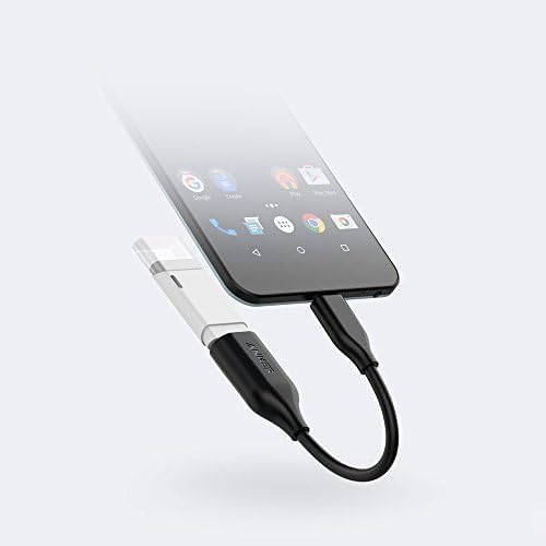 Anker USB-C to USB 3.1 Adapter USB C Adapter (2 Pack)