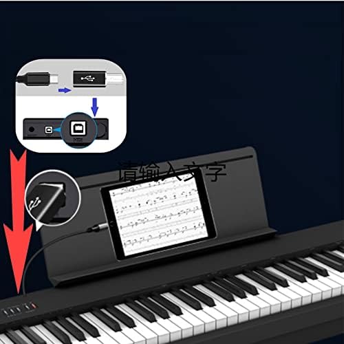 USB C to B Adapter,【3-Pack】 Tpenod Female USB C to MIDI Converter，Compatible with MIDI，Printers，Chromebook Pixel，Electric Piano,Synthesizers and Devices /laptops with Type-c Port., black