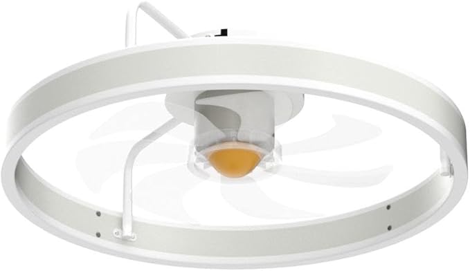 Ceiling Fans with Led Lights and Remote for Bedroom- Low Profile Flush Mount- 20” Modern Bladeless Enclosed Small Ceiling Fans with Stepless Dimming