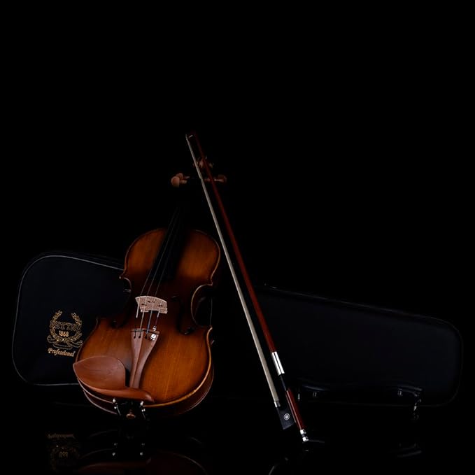 Rhythm Violin Set for Beginners,Acoustic Violins Starter Kit Package for Student,Beginners Fiddle with Hard Case, Rosin, Shoulder Rest, Bow, and Extra Strings (MATTE, Full)