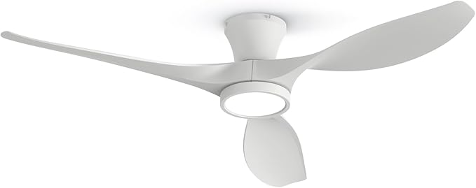 TALOYA 52 inch Ceiling Fans with Lights Remote Control, Modern Low Profile Ceiling Fan with Quiet Reversible DC Motor for Bedroom Living Room and Patio White
