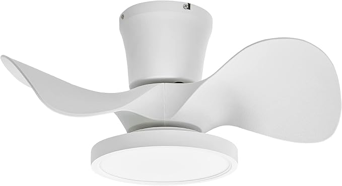 ocioc Quiet Ceiling Fan with LED Light 22 inch Large Air Volume Remote Control for Kitchen Bedroom Dining Room Patio