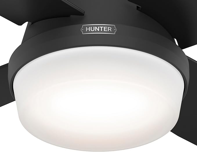 Hunter 52389 Dempsey Ceiling Fan 52 inches Matte Black