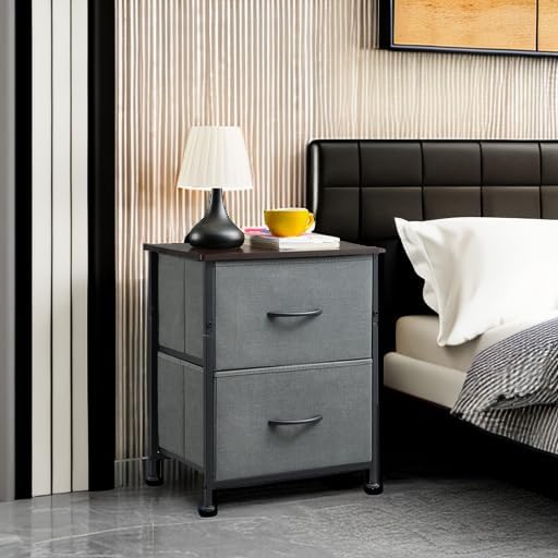 Somdot Nightstand, Small Dresser for Bedroom with 2 Drawers, Bedside Table Night Stand End Table with Fabric Bins for Bedroom Kids Closet Dorm Guest Room, Charcoal Grey