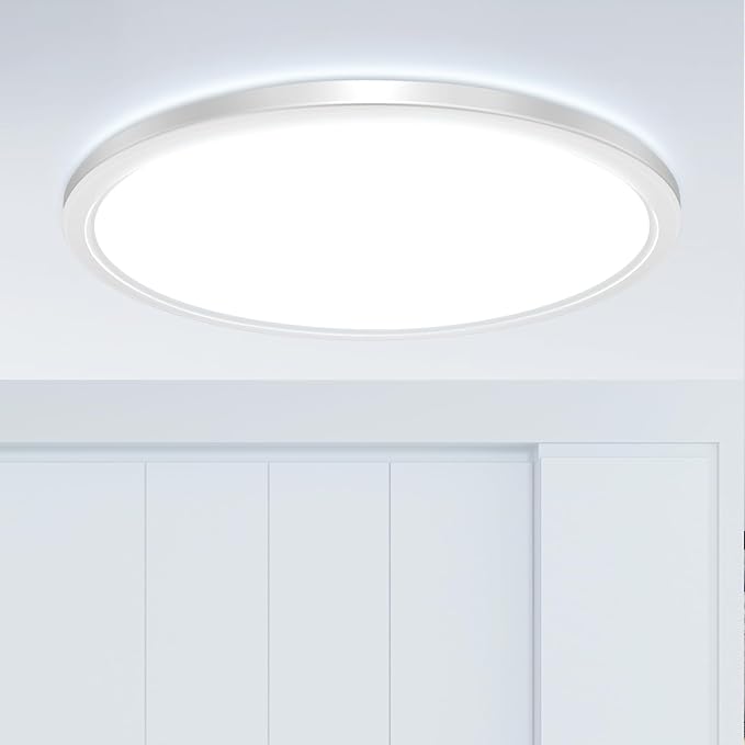 20Inch Big Dimmable Flush Mount LED Ceiling Light Fixture, 3000K-4500K-6000K 3 Color Selectable Ceiling Lamp 45Watt 4500LM Low Profile Ceiling Light for Kitchen Bedroom Hallway Porch