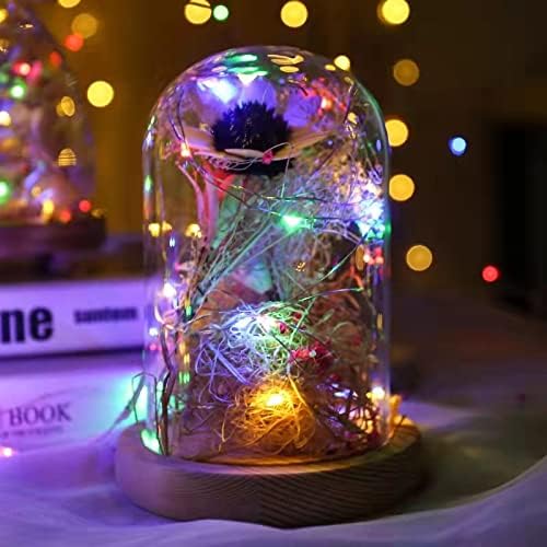 Sanniu Led Fairy Lights Battery Operated, 2 Packs Mini Battery Powered Copper Wire Starry String Lights for Christmas,Bedroom,Wedding,Parties,Patio,Indoor,Home Decoration (5m/16ft Multicolor)