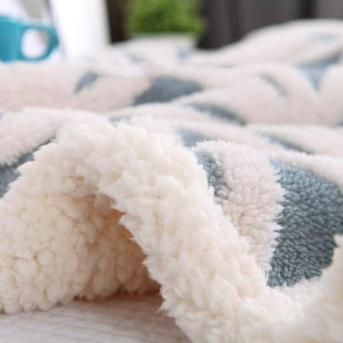 LOMAO Sherpa Fleece Blanket Fuzzy Soft Throw Blanket Dual Sided Blanket for Couch Sofa Bed (Light Blue, 60''x 80'')