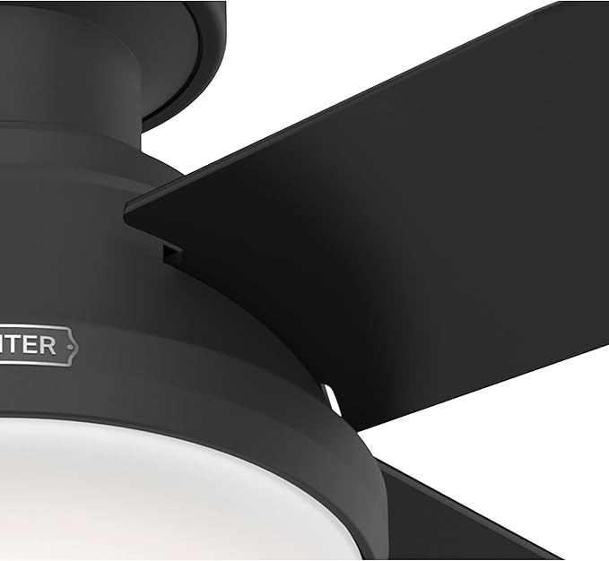 Hunter 52389 Dempsey Ceiling Fan 52 inches Matte Black