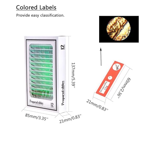 Prepared Plastic Microscope Slides with Specimens for Kids, Microscope Sample Slides Full Range of Animal/Plant/Insect/Blood Biology Slides Gift Set for Kids Microscope (60PCS)