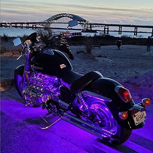 String Lights,LED Copper Wire Lights, Each Set 33ft/10M 100LEDs and 5 Remote Control.AA Battery Powered,Decor Rope Lights for Holiday,Wedding, Parties.(Purple)