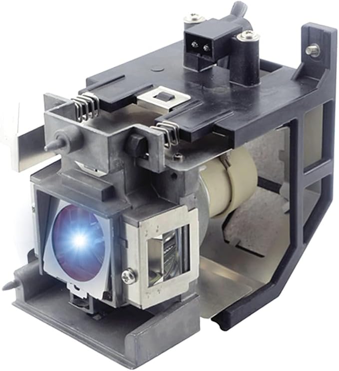 RLC-107 Replacement Lamp Bulb with Housing for VIEWSONIC PS700W,PS700X,PS750HD,PS750W,PS750X,PX800HD Projectors