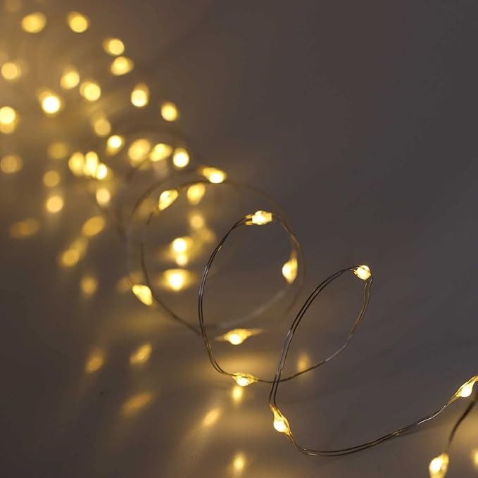 QBIS Warm White Fairy Lights Battery Operated with Timer Mode, 40 Micro LEDs for Mason Jars, 6.5ft, Silver Wire Lights Indoor Use (Warm White) - 2 Pack