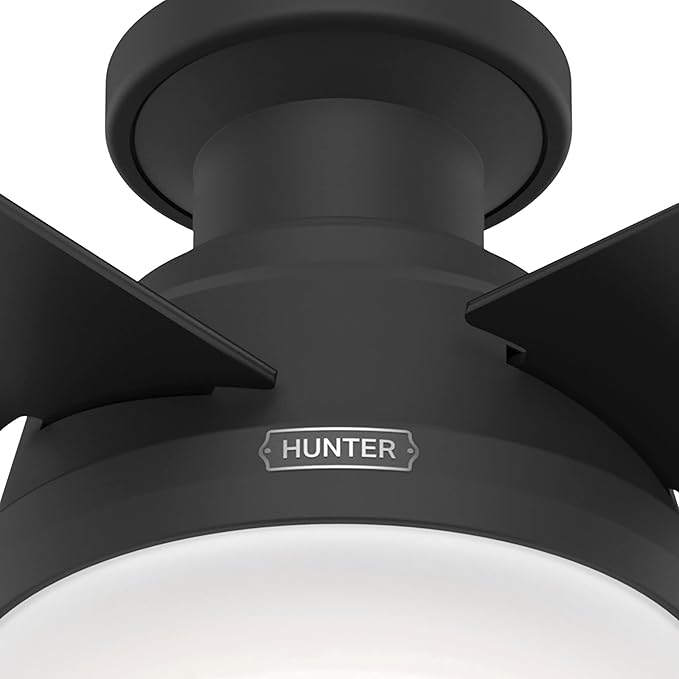 Hunter 52389 Dempsey Ceiling Fan 52 inches Matte Black