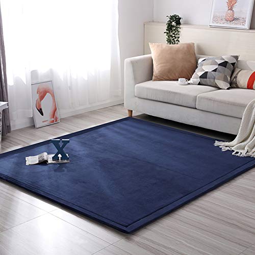 Loartee Coral Velvet Crawling Rug - Area Rug (5.0'x 6'8", Dark Blue) for Toddler Children Play Mat Yoga Mat Exercise Pads Carpet