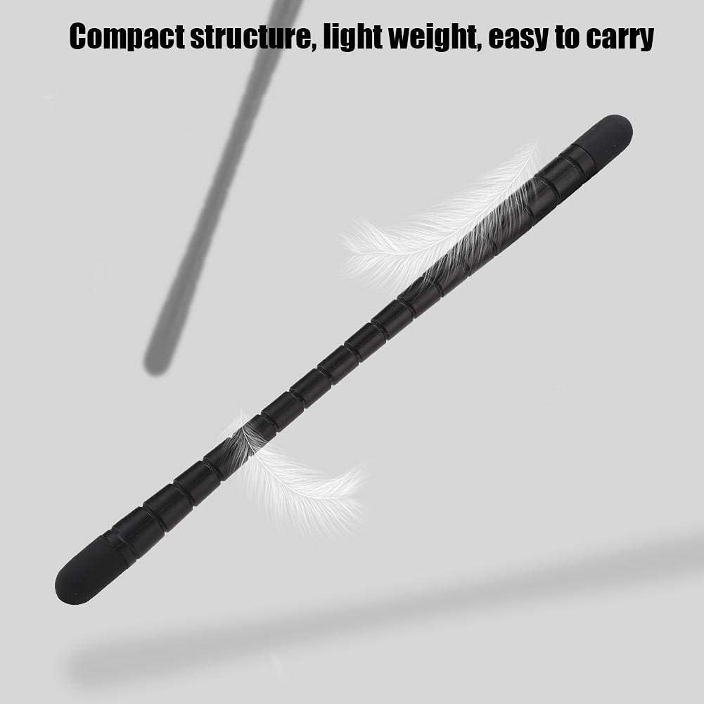 Junluck Black Double-Head Capacitive Stylus Pen for Touch Screen Phone and Tablet