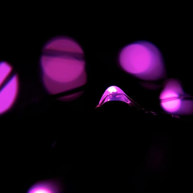 2 Sets 20 LEDs Pink Color String Lights Silver Wire Indoor and Outdoor 6.5 Feet Firefly Starry Fairy Lights Battery Powered for DIY, Christmas, Holidays, Party, Bedroom and Centerpieces