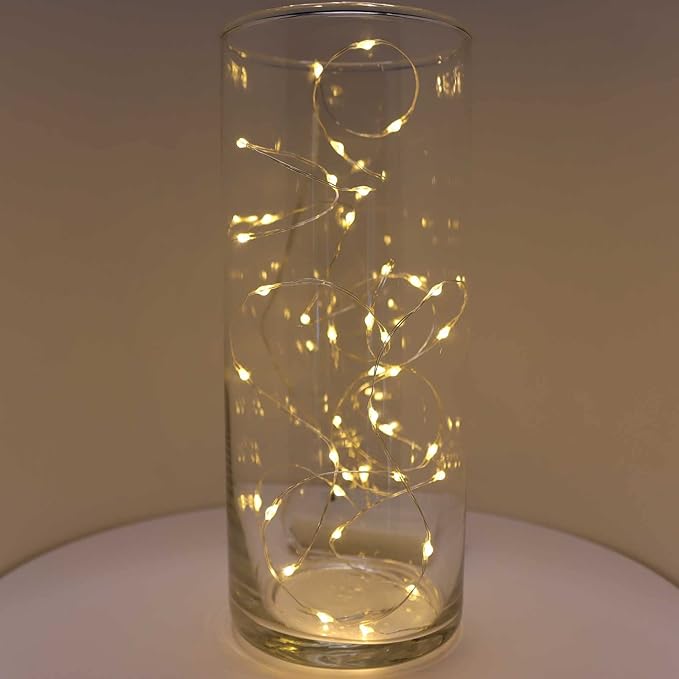 QBIS Warm White Fairy Lights Battery Operated With Timer Mode, 40 Micro LED for Mason Jars, 6.5ft Silver Wire Indoor Use