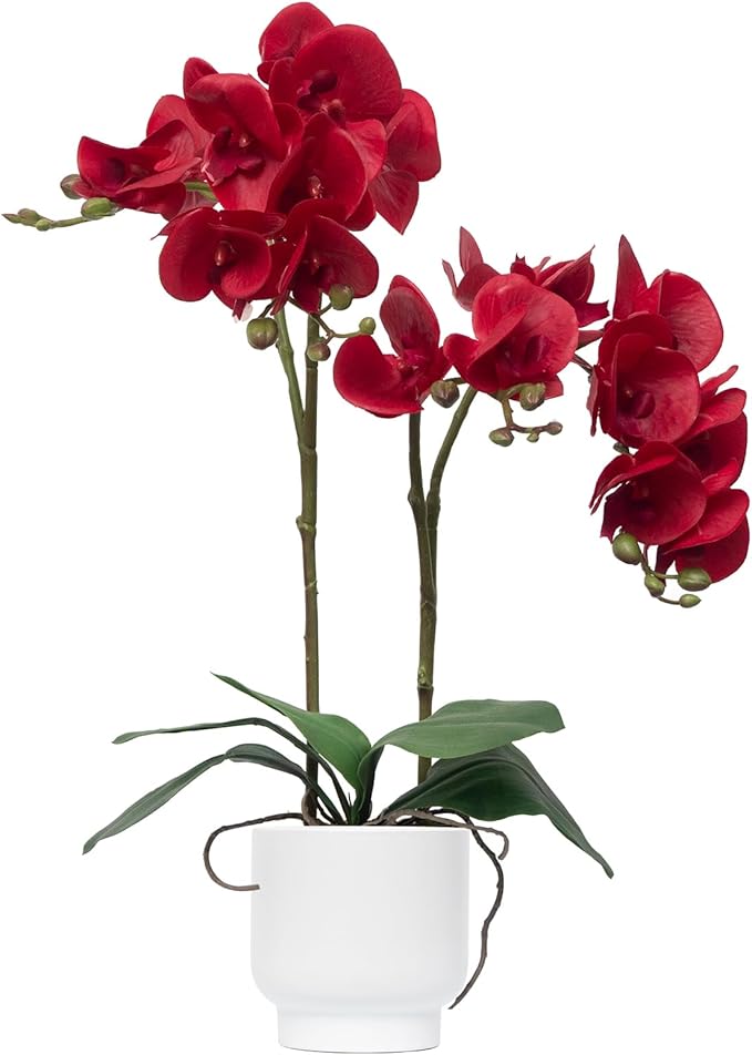CXGS Orchids Artificial Flowers Real Touch Fake Flowers in Ceramic Pot 20" Red Faux Orchid Plant Lifelike Silk Phalaenopsis for Centerpiece Hotel Home Indoor Decor