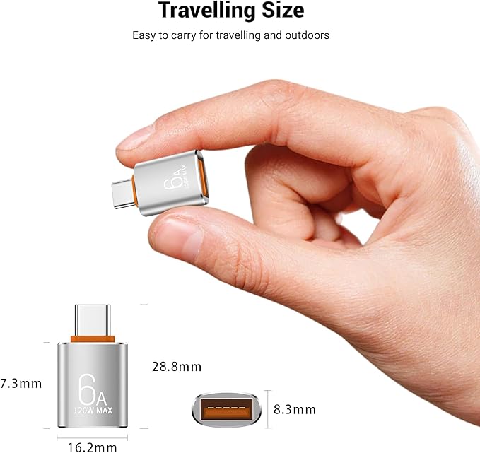 Pastall 10 Pack 10Gbps/120W USB C to USB3.1 Adapter, Silver Type C Male to USB Female Adapter for Smartphone, PC, Laptop, Tablet, Keyboard etc.