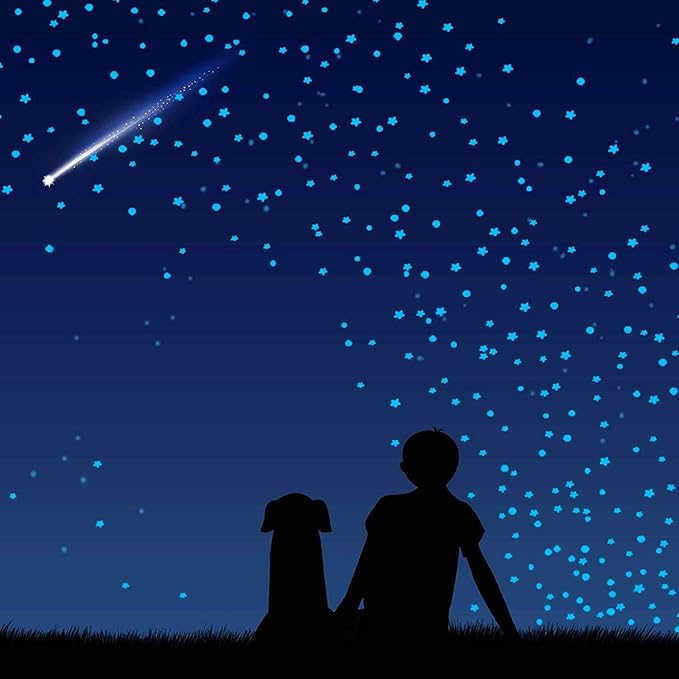 1230 PCS Glow in The Dark Stars Wall Stickers, 3D Adhesive Dots Decor Starry Sky Decor for Kids Bedroom, Beautiful Wall Decals (Blue)
