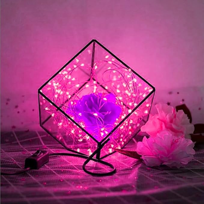 String Lights,LED Copper Wire Lights, Each Set 33ft/10M 100LEDs and 6 Remote Control.AA Battery Powered,Decor Rope Lights for Holiday,Wedding, Parties.(Pink)