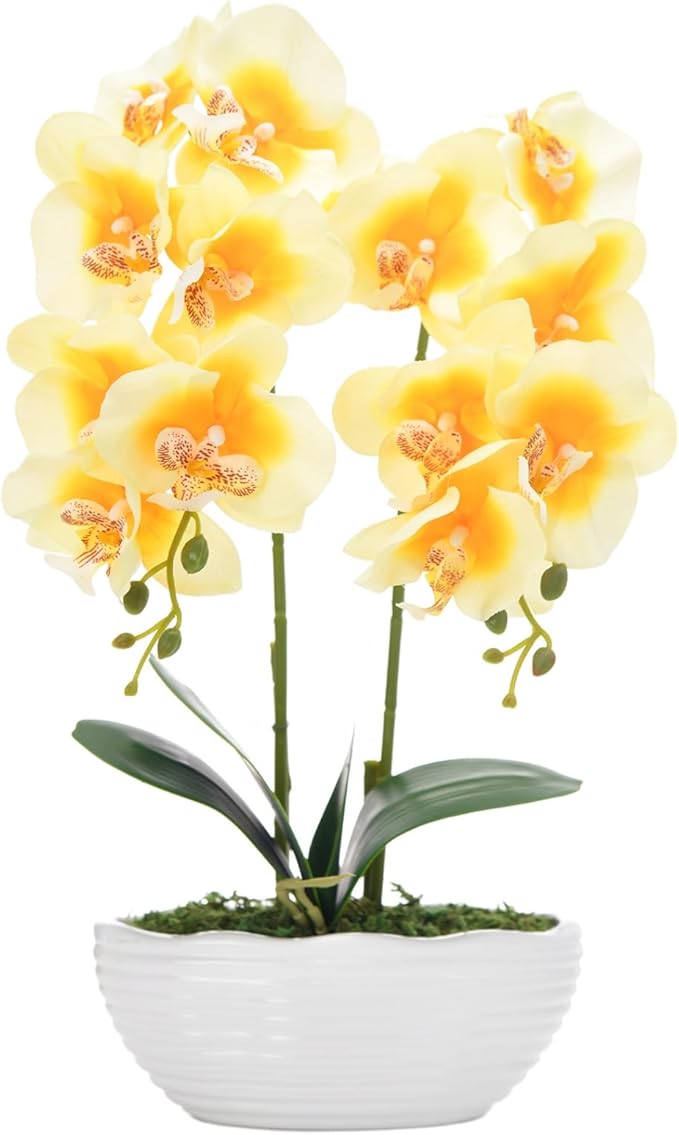 Large Artificial Potted Orchid Plant, Silk Flower Arrangement with Ceramics Vase, Yellow