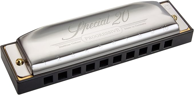 Hohner 560 Special 20 Harmonica - Key of F Bundle with Carrying Case, Key Stickers, Harmonica Beginner Online Manual, and Austin Bazaar Polishing Cloth