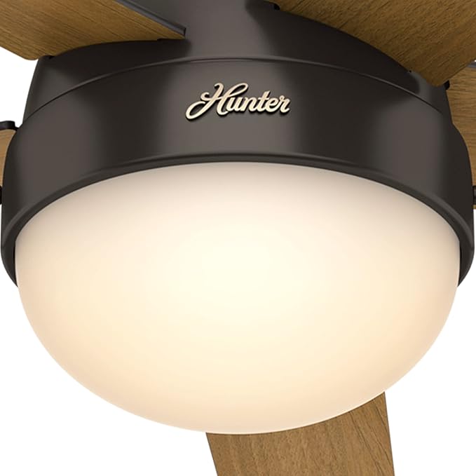 Hunter 59268 Anslee Indoor Low Profile Ceiling Fan with LED Light and Pull Chain Control, 46", Brown