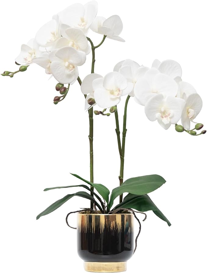 CXGS Orchids Artificial Flowers Real Touch Fake Flowers in Ceramic Pot 20" White Faux Orchid Plant Lifelike Silk Phalaenopsis for Centerpiece Hotel Home Indoor Decor