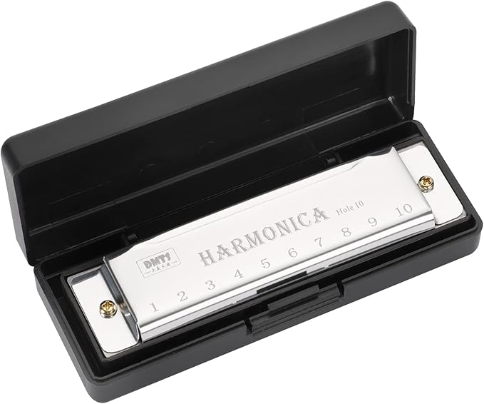 UPINS Harmonica, 4PCS Key of C 10 Hole 10 Tones Titanium Color Harmonica with Case for Beginner (Silvery)