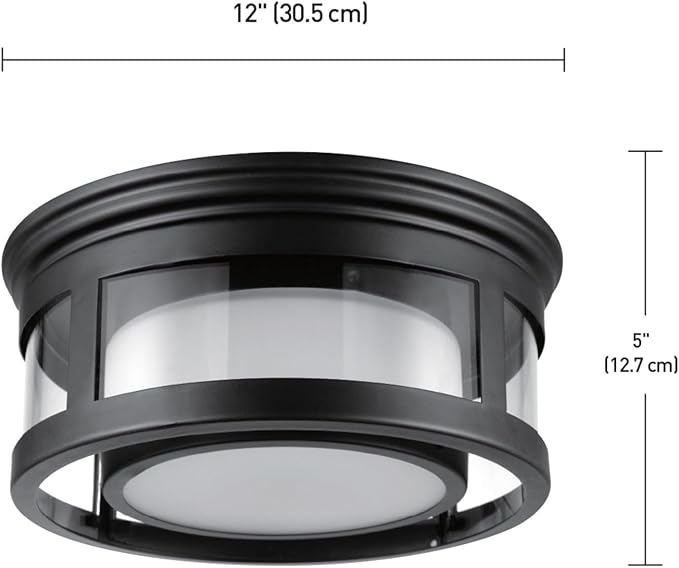 GLOBE Electric 44480 Brisbane 1-Light Outdoor Indoor Flush Mount Ceiling Light, Matte Black, Frosted Glass Shade, Bulb Not Included
