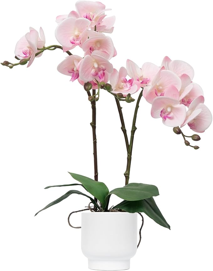 CXGS Orchids Artificial Flowers Real Touch Fake Flowers in Ceramic Pot 20" Pink Faux Orchid Plant Lifelike Silk Phalaenopsis for Centerpiece Hotel Home Indoor Decor