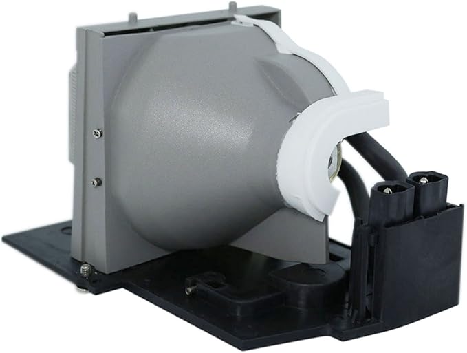 Advanced Lamps™ Lamp & Housing for The Infocus IN82 Projector