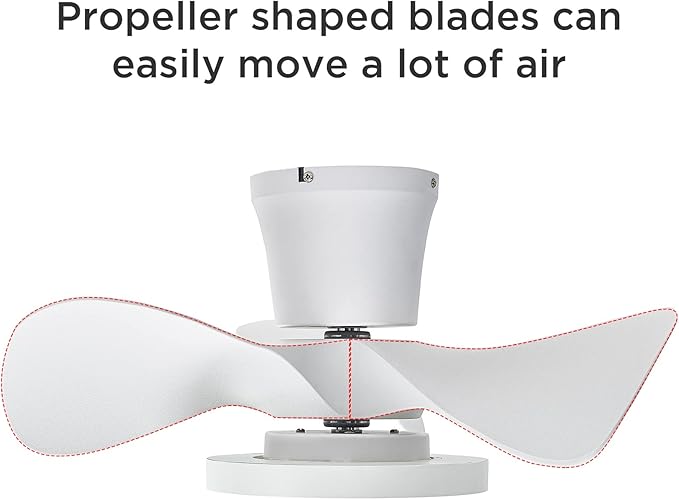 ocioc Quiet Ceiling Fan with LED Light 22 inch Large Air Volume Remote Control for Kitchen Bedroom Dining Room Patio