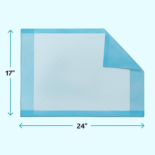 Medline Chucks Pads, Disposable Changing Pads for Baby, 17x24, 100 Count, Chucks Pads, Pee Pads, Disposable Underpads for Incontinence, Diaper Pads, Pee Pads for Babies