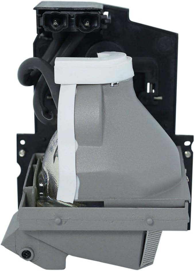 Advanced Lamps™ Lamp & Housing for The Infocus IN82 Projector